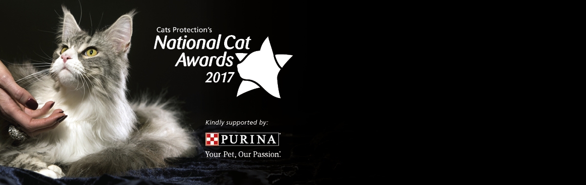 Genie crowned as UK’s top cat in Cats Protection's National Cat Awards 1