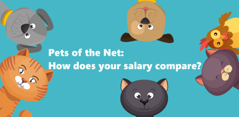 Pets of the net salary calculator
