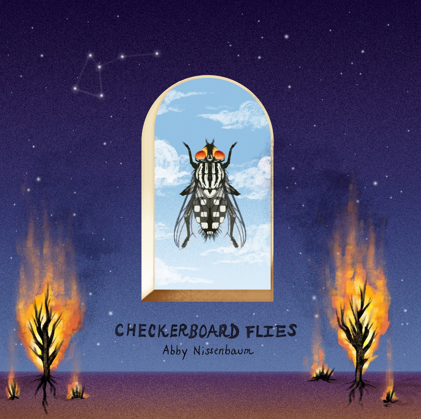 Abby nissenbaum shares moody new single 'checkerboard flies'